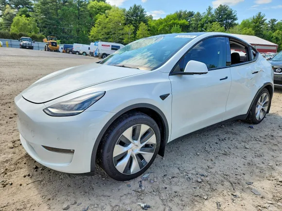 2021 Tesla Model Y Standard Range, VIN 5YJYGDED9MF103538 — Roof