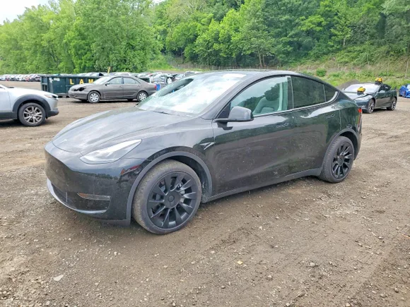 2024 Tesla Model Y Long Range, VIN 7SAYGDEE7RA243958 — Roof