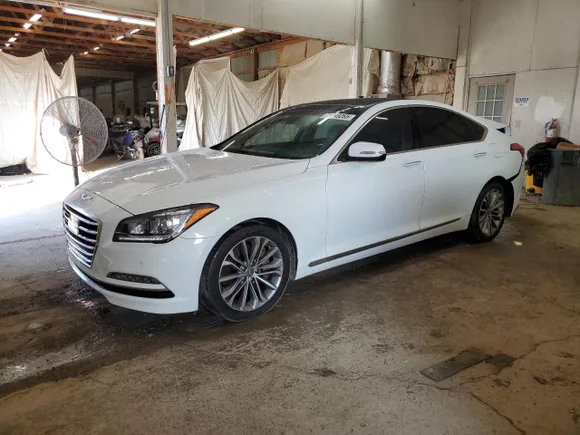 2016 Hyundai Genesis 3.8L, VIN KMHGN4JE3GU132198 — Rear end