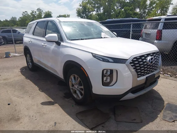 2020 Hyundai Palisade SE, VIN KM8R1DHE8LU051735 — Hail