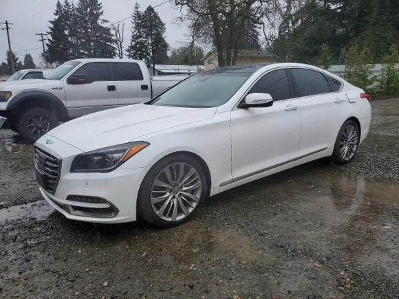 2020 Genesis G80 Ultimate, VIN KMTFN4JF4LU335170 — Water / flood