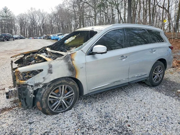 2018 Infiniti QX60, VIN 5N1DL0MNXJC500211 — Burn