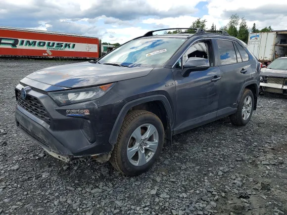 2019 Toyota RAV4 Hybrid LE, VIN 2T3BWRFV4KW021981 — Front end