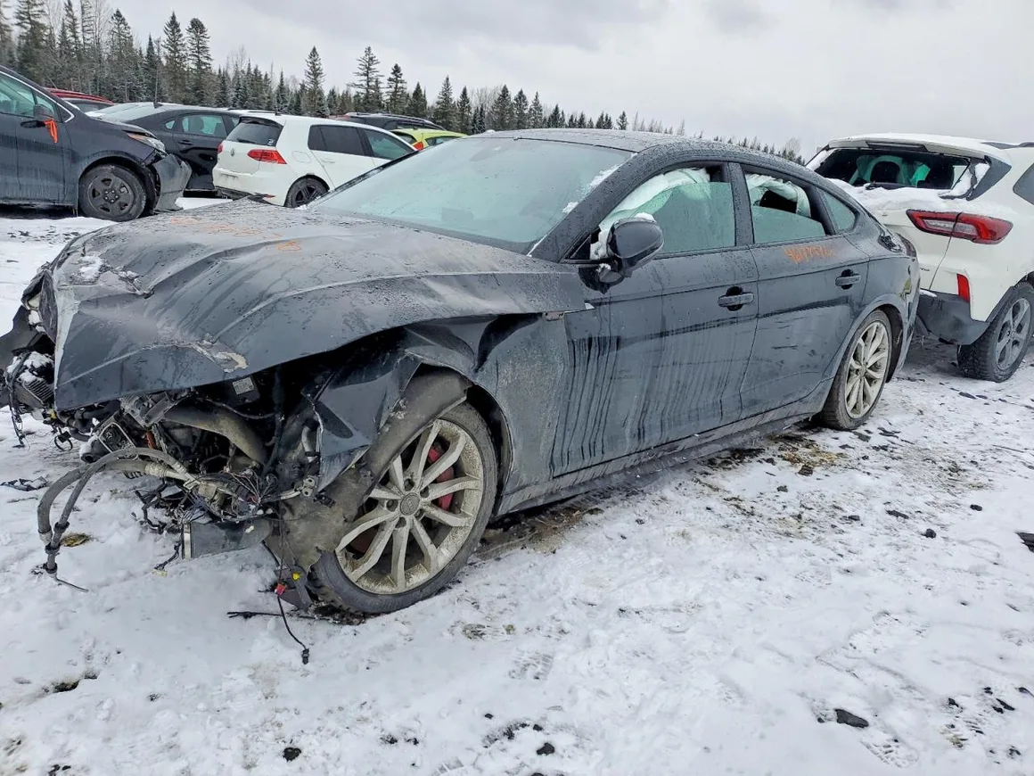 2019 Audi S5 Sportback Prestige, VIN WAUC4CF52KA004101 — Auction photo 1 of 4