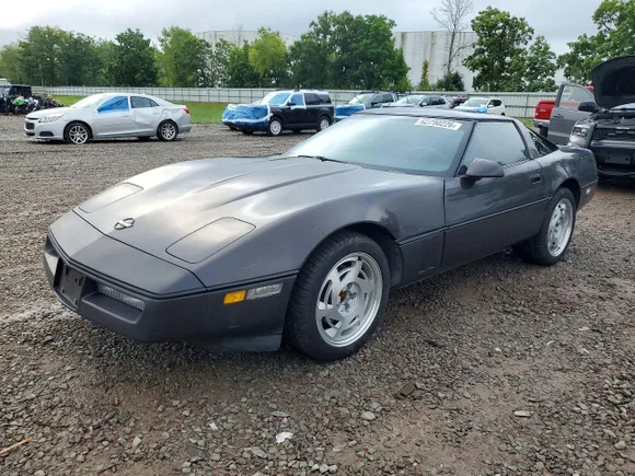 1989 Chevrolet Corvette, VIN 1G1YY2185K5100539 — Undercarriage