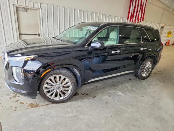 2020 Hyundai Palisade Limited, VIN KM8R5DHE0LU127971 — Minor dents and scratches