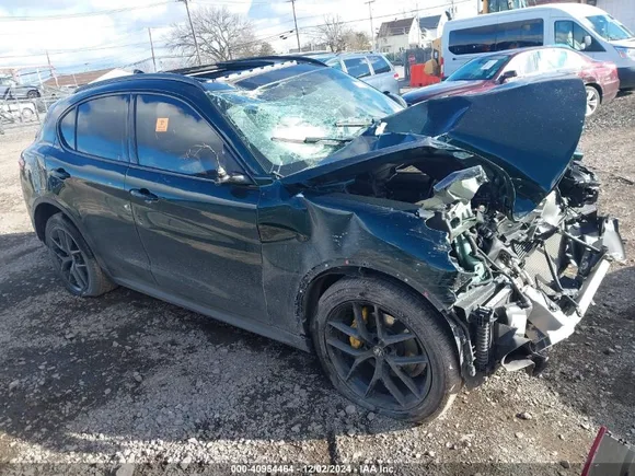 2019 Alfa Romeo Stelvio, VIN ZASPAKAN4K7C40834 — Biohazard / chemical