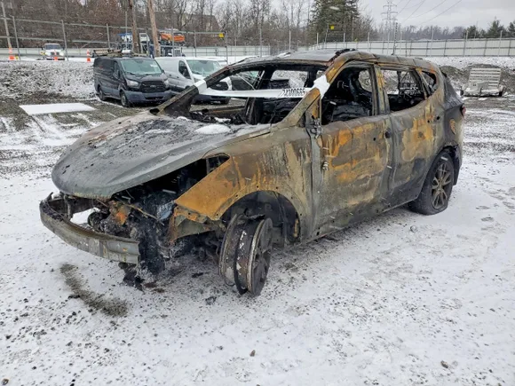 2014 Hyundai Santa Fe, VIN 5XYZUDLA8EG127409 — Burn